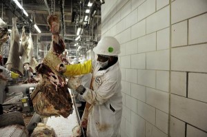 A Somali working on line