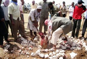 Somalia stoned man