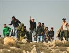Arabs mob