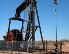 Oil well
