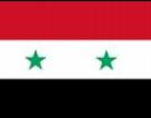Syrian flag