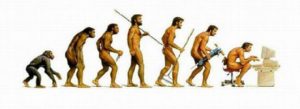 evolution