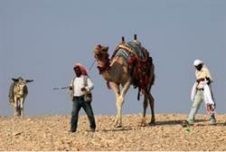 Bedouin