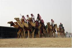 Camel Riders
