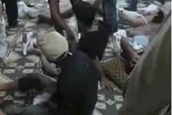 anti-government protesters0