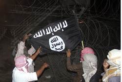 Terrorists raise Al Qaeda flag at Gora base in Sinai - Reuters