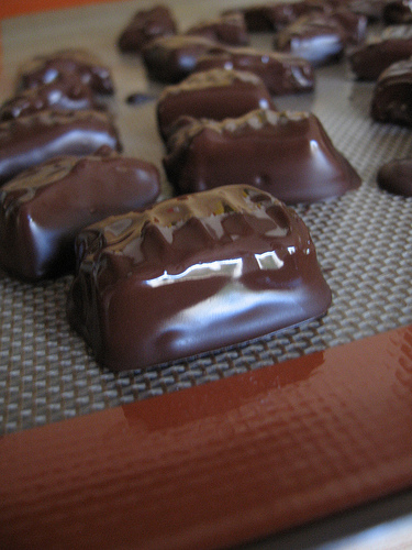Chocolate mousse tainted with pork