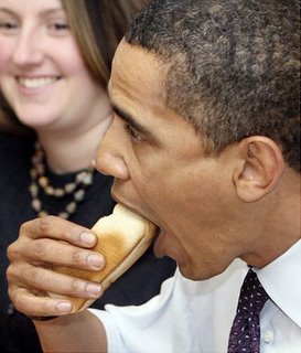 Barack Obama USA President 12