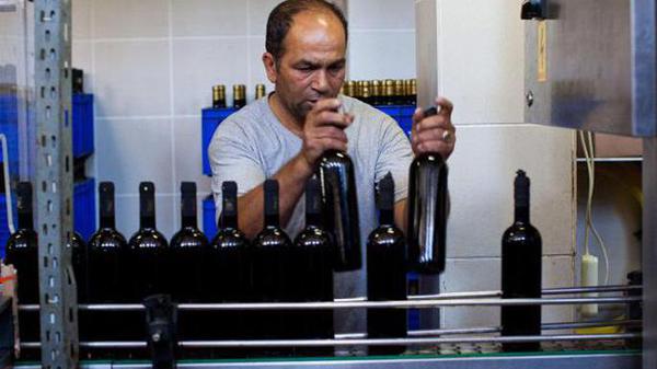 Turkey worker handles wine bottles AFP