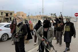 Rebels in Fallujah