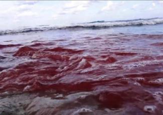 isis-mass-execution-coptic-egyptian-christians-5